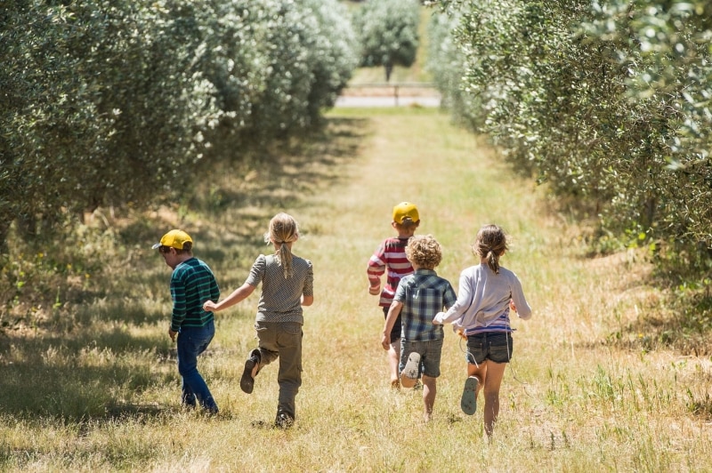 Silverdale Olive Orchard, Coral Coast, Westaustralien © Australia's Coral Coast Silverdale Olive Orchard, Coral Coast, Westaustralien © Australia's Coral Coast