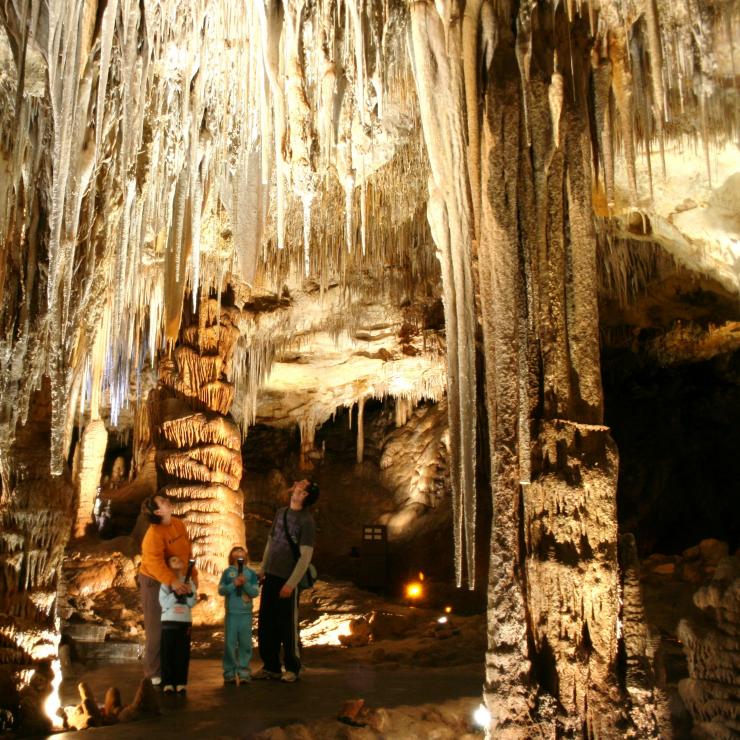 Familienspaziergang in der Tantanoola Cave © Ministerium für Umwelt und Wasser Südaustralien (Department for Environment and Water South Australia)