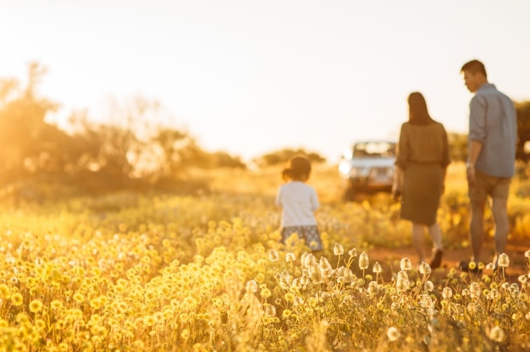 西オーストラリア州、ハーメルンプール近郊、ワイルドフラワー © Tourism Western Australia 西オーストラリア州、ハーメルンプール近郊、ワイルドフラワー © Tourism Western Australia