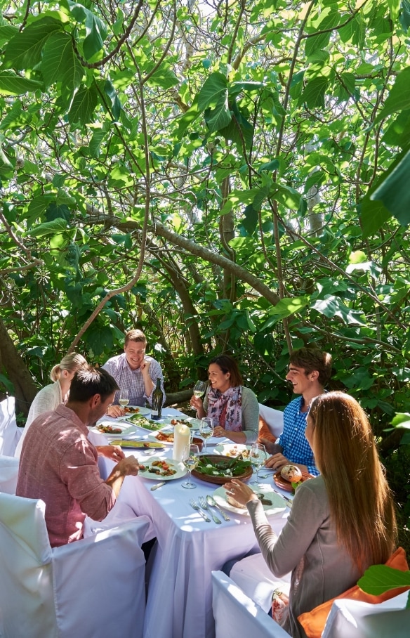 Hannaford and Sachs餐廳內，一群人在Enchanted Fig Tree茂密翠綠的樹下進餐。南澳州袋鼠島©Adam Bruzzone