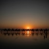 Cable Beach, Broome, Western Australia © Tourism Australia
