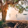 Paddleboarding, Noosa, QLD © Tourism and Events Queensland
