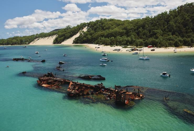 A shipwreck surrounded by boats in clear blue water near a white sand island with green bushland at Tangalooma Wrecks, Moreton Island, Queensland © Tourism & Events Queensland 
