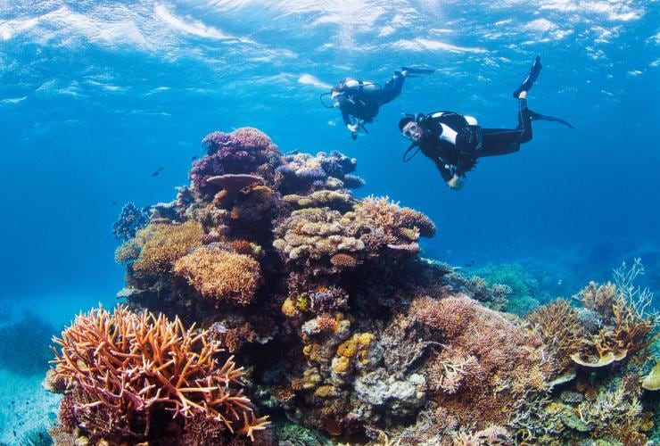 Challenger Bay, Ribbon Reefs, Great Barrier Reef, Queensland © Tourism and Events Queensland