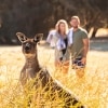 Sea Dragon Lodge and Villas, Kangaroo Island, SA © Tourism Australia