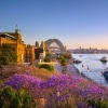 Jacarandas dan Sydney Harbour saat matahari terbenam, Sydney, NSW © Destination NSW