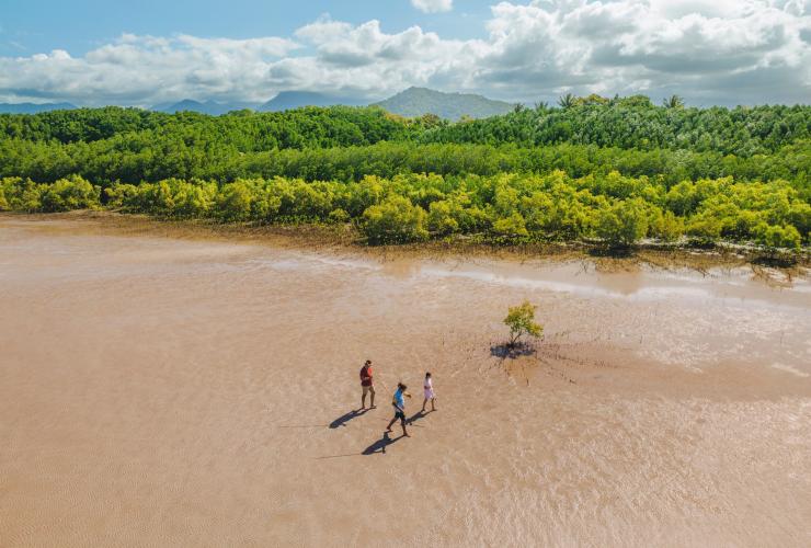 Vista dall'alto di tre persone che camminano con lance lungo una distesa fangosa con la vegetazione lussureggiante in lontananza durante un'esperienza con Walkabout Cultural Adventures, Port Douglas, Tropical North Queensland © Tourism Australia 