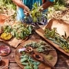 エアーズ・ロック・リゾートのテーブルに並べたオーストラリア原産の食材 © Voyages